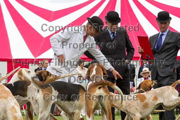 Grove_and_Rufford_Puppy_Show_20th_June_2015_209