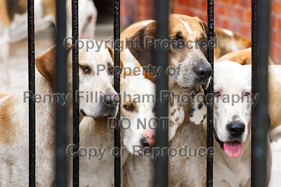 Grove_and_Rufford_Puppy_Show_20th_June_2015_277
