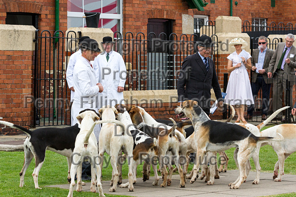 Grove_and_Rufford_Puppy_Show_20th_June_2015_092
