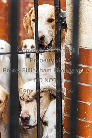 Grove_and_Rufford_Puppy_Show_20th_June_2015_006