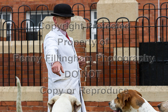 Grove_and_Rufford_Puppy_Show_20th_June_2015_306
