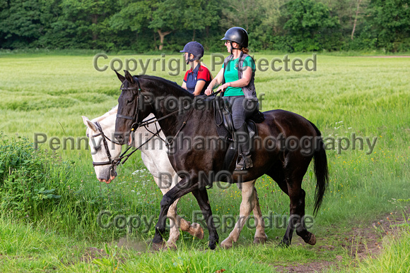 Grove_and_Rufford_Ride_Linby_15th_June_2021_163