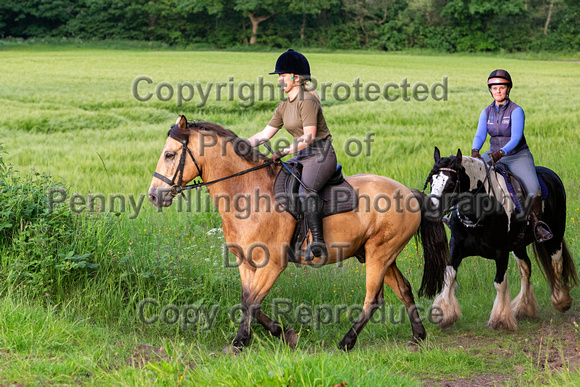 Grove_and_Rufford_Ride_Linby_15th_June_2021_174