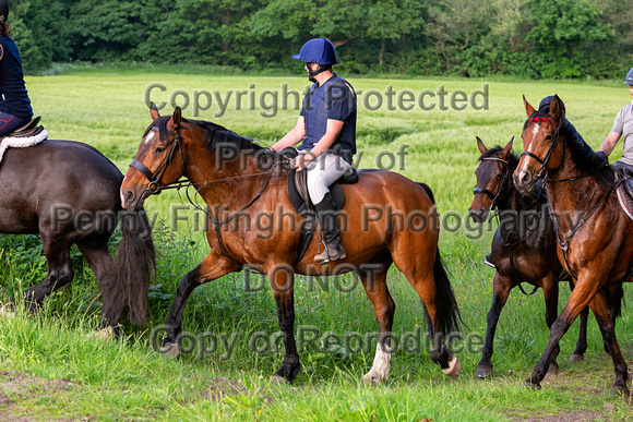 Grove_and_Rufford_Ride_Linby_15th_June_2021_152