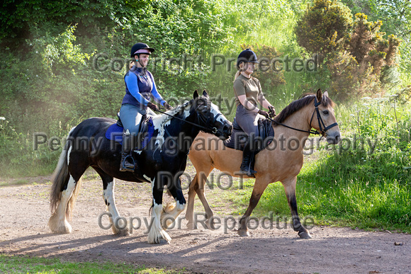 Grove_and_Rufford_Ride_Linby_15th_June_2021_013