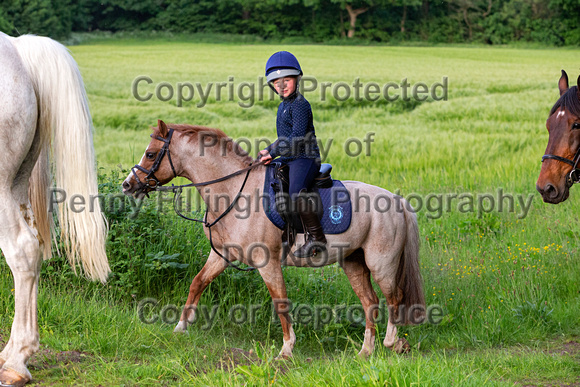Grove_and_Rufford_Ride_Linby_15th_June_2021_140