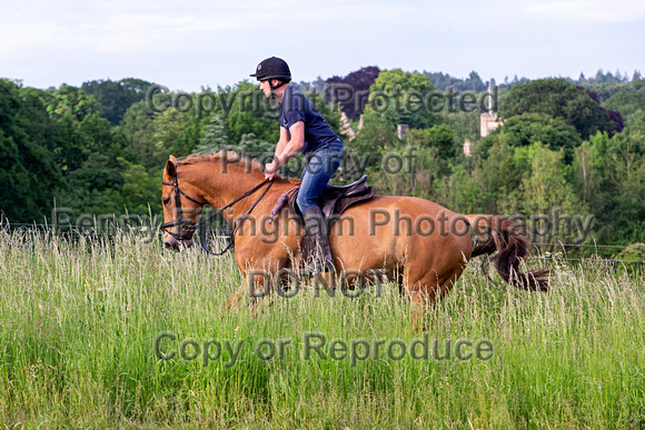 Grove_and_Rufford_Ride_Linby_15th_June_2021_082
