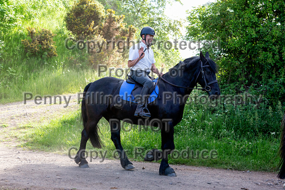 Grove_and_Rufford_Ride_Linby_15th_June_2021_016