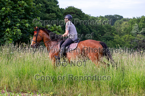 Grove_and_Rufford_Ride_Linby_15th_June_2021_085