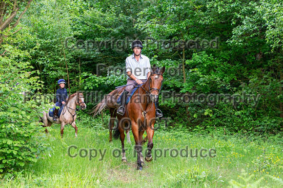 Grove_and_Rufford_Ride_Linby_15th_June_2021_017