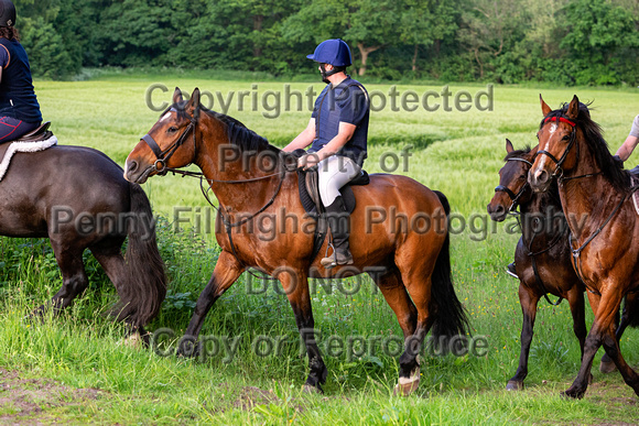 Grove_and_Rufford_Ride_Linby_15th_June_2021_153