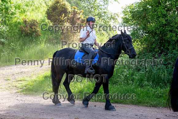 Grove_and_Rufford_Ride_Linby_15th_June_2021_015