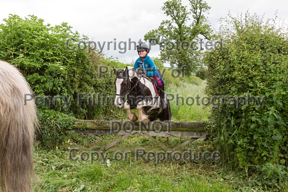 Grove_and_Rufford_Leyfields_14th_June_2016_176