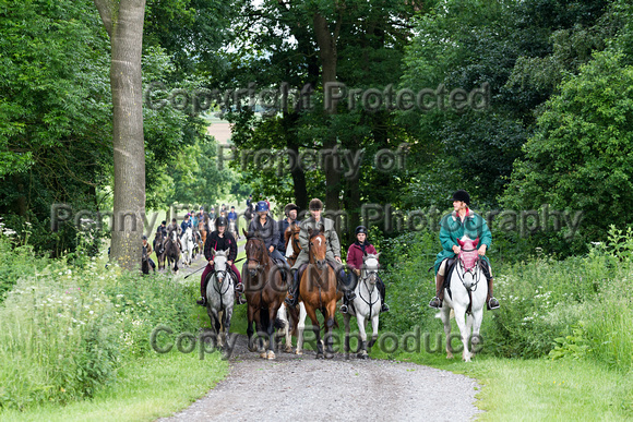 Grove_and_Rufford_Leyfields_14th_June_2016_083