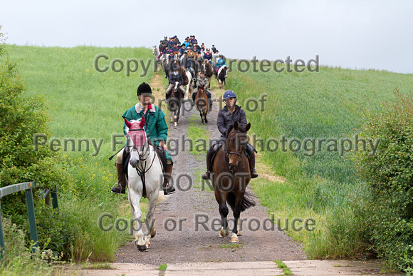 Grove_and_Rufford_Leyfields_14th_June_2016_273