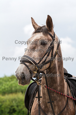 Grove_and_Rufford_Leyfields_14th_June_2016_006