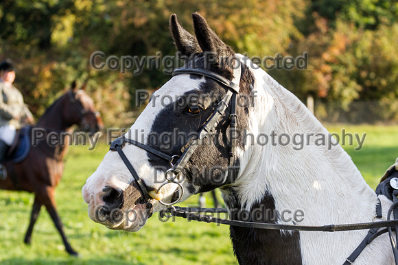 Grove_and_Rufford_North_Wheatley_17th_Oct_2015_020