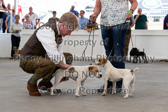 GYS_Terriers_Afternoon_Ring_One_12th_July_2018_138