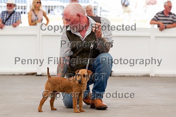 GYS_Terriers_Afternoon_Ring_One_12th_July_2018_040
