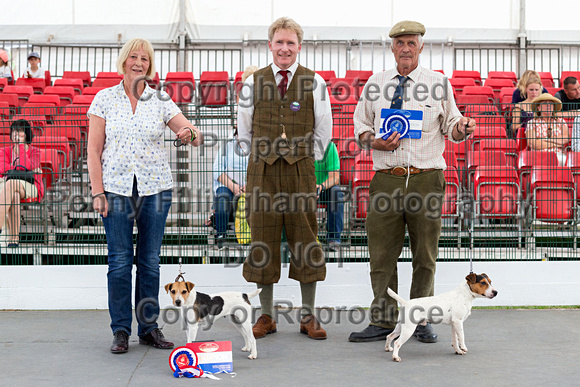GYS_Terriers_Afternoon_Ring_One_12th_July_2018_193