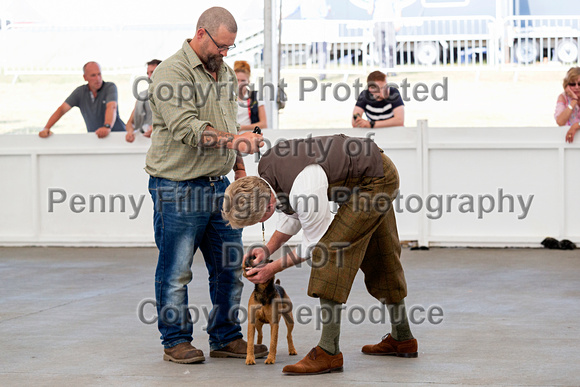 GYS_Terriers_Afternoon_Ring_One_12th_July_2018_198