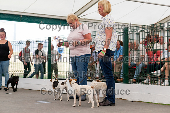 GYS_Terriers_Afternoon_Ring_One_12th_July_2018_103