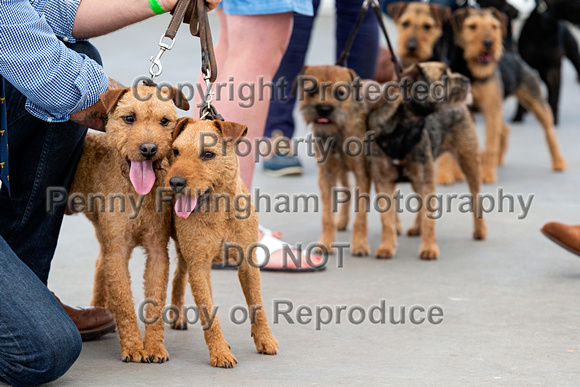 GYS_Terriers_Afternoon_Ring_One_12th_July_2018_151
