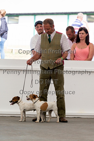 GYS_Terriers_Afternoon_Ring_One_12th_July_2018_095