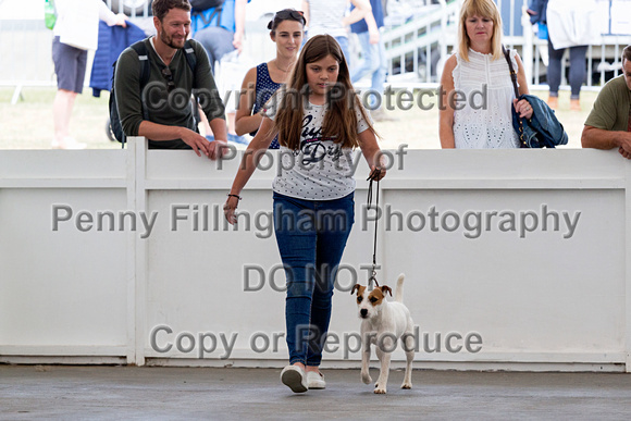 GYS_Terriers_Afternoon_Ring_One_12th_July_2018_006