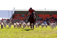 Southwell_Ploughing_Match_Hound_Parade_29th_Sept_2018_014