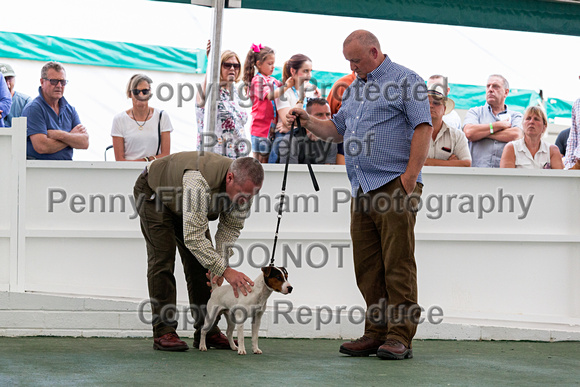 GYS_Terriers_Afternoon_Ring_Two_12th_July_2018_006