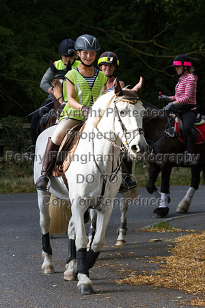Grove_and_Rufford_Ride_Wellow_11th_August_2015_013