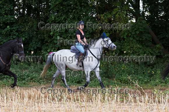 Grove_and_Rufford_Ride_Wellow_11th_August_2015_090