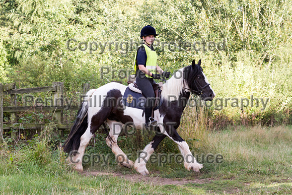 Grove_and_Rufford_Ride_Wellow_11th_August_2015_024