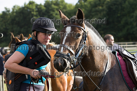 Grove_and_Rufford_Ride_Wellow_11th_August_2015_005