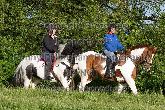 Grove_and_Rufford_Ride_Little_Carlton_2nd_June_2015_352