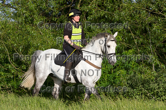 Grove_and_Rufford_Ride_Little_Carlton_2nd_June_2015_357