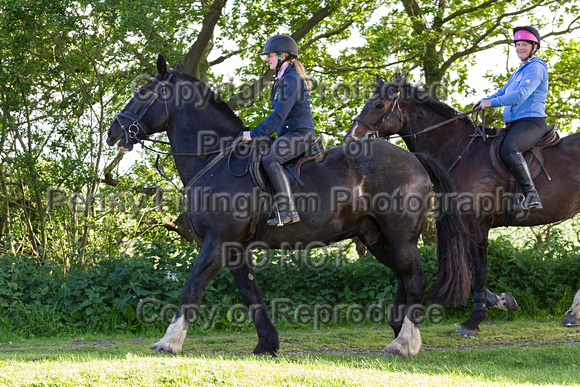 Grove_and_Rufford_Ride_Little_Carlton_2nd_June_2015_292