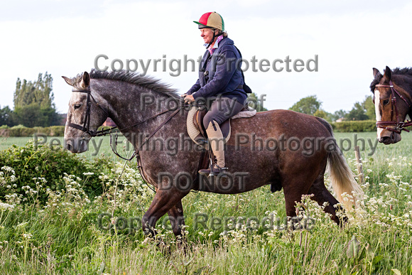 Grove_and_Rufford_Ride_Little_Carlton_2nd_June_2015_408