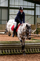 Trent_Valley_Equestrian_Indoor_XC_Class_Three_18th_Jan_2015_008