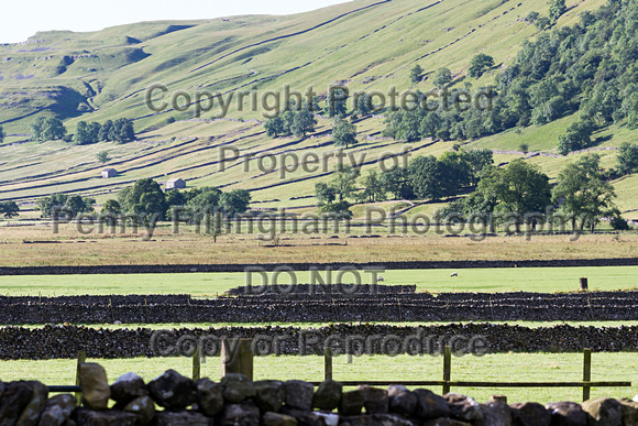 The_Glorious_12th_Kettlewell_12th_August_2015_005