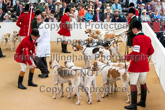 Festival_of_Hunting_Hounds_18th_July_2018_033