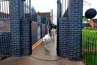 Quorn_Kennels_29th_Oct_2021_007