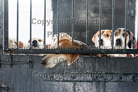 South_Notts_Kennels_29th_May_2016_010