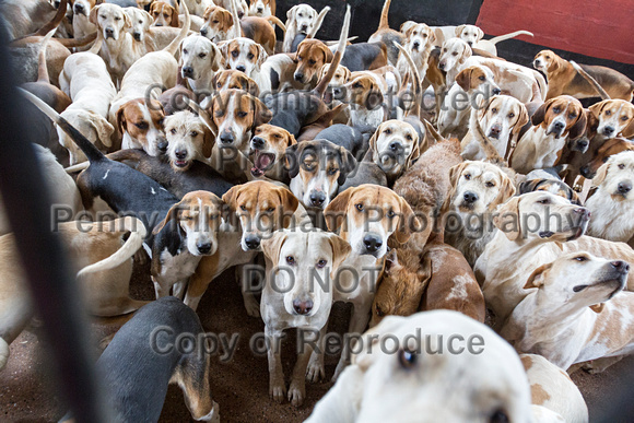 South_Notts_Kennels_29th_May_2016_004