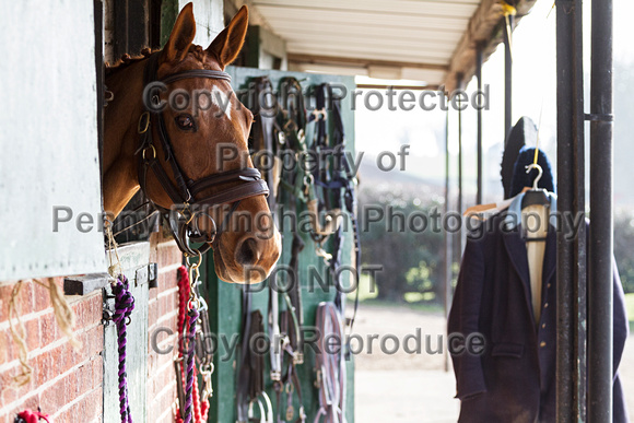 South_Notts_Kennels_14th_March_2016_008