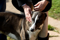 South_Notts_Kennels_14th_March_2016_011