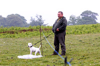 Ecclesfield_Beagles_Terrier_and_Lurcher_Show_Racing_13th_June_2015_018