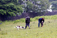 Ecclesfield_Beagles_Terrier_and_Lurcher_Show_Racing_13th_June_2015_006