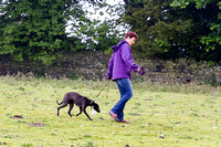Ecclesfield_Beagles_Terrier_and_Lurcher_Show_Racing_13th_June_2015_001